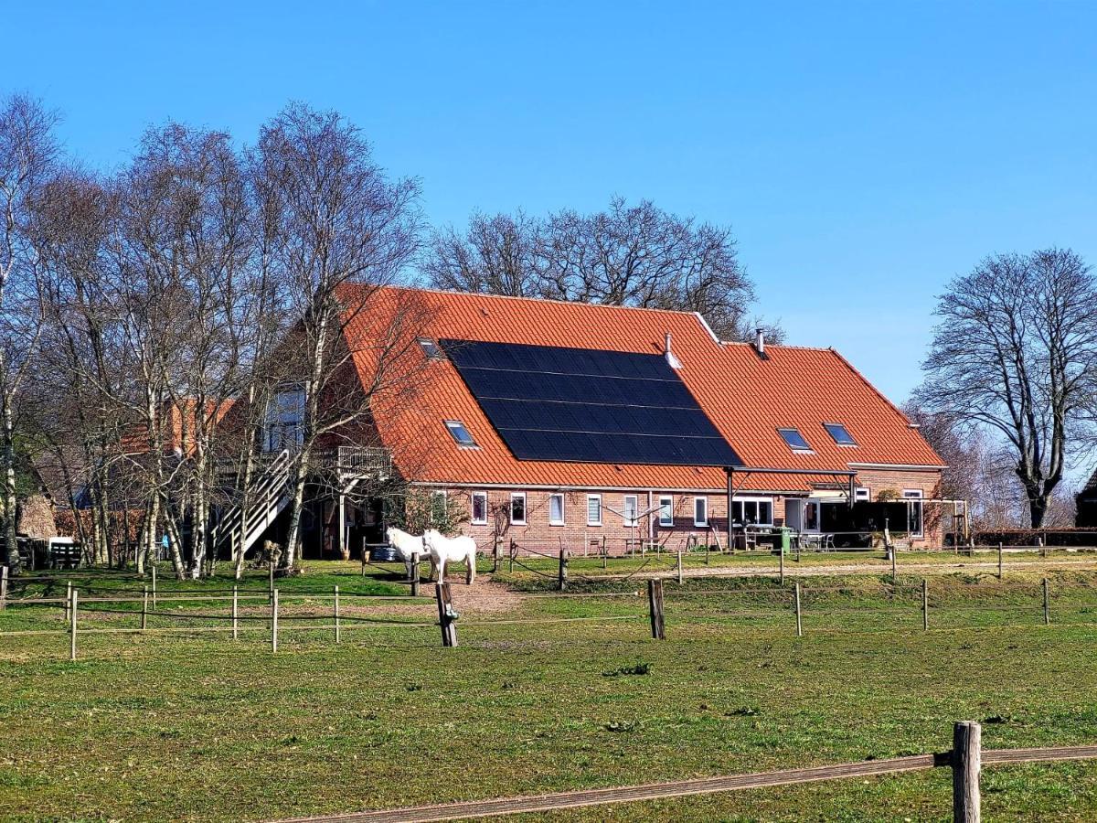 Slaopen En Stoet 4* Anderen