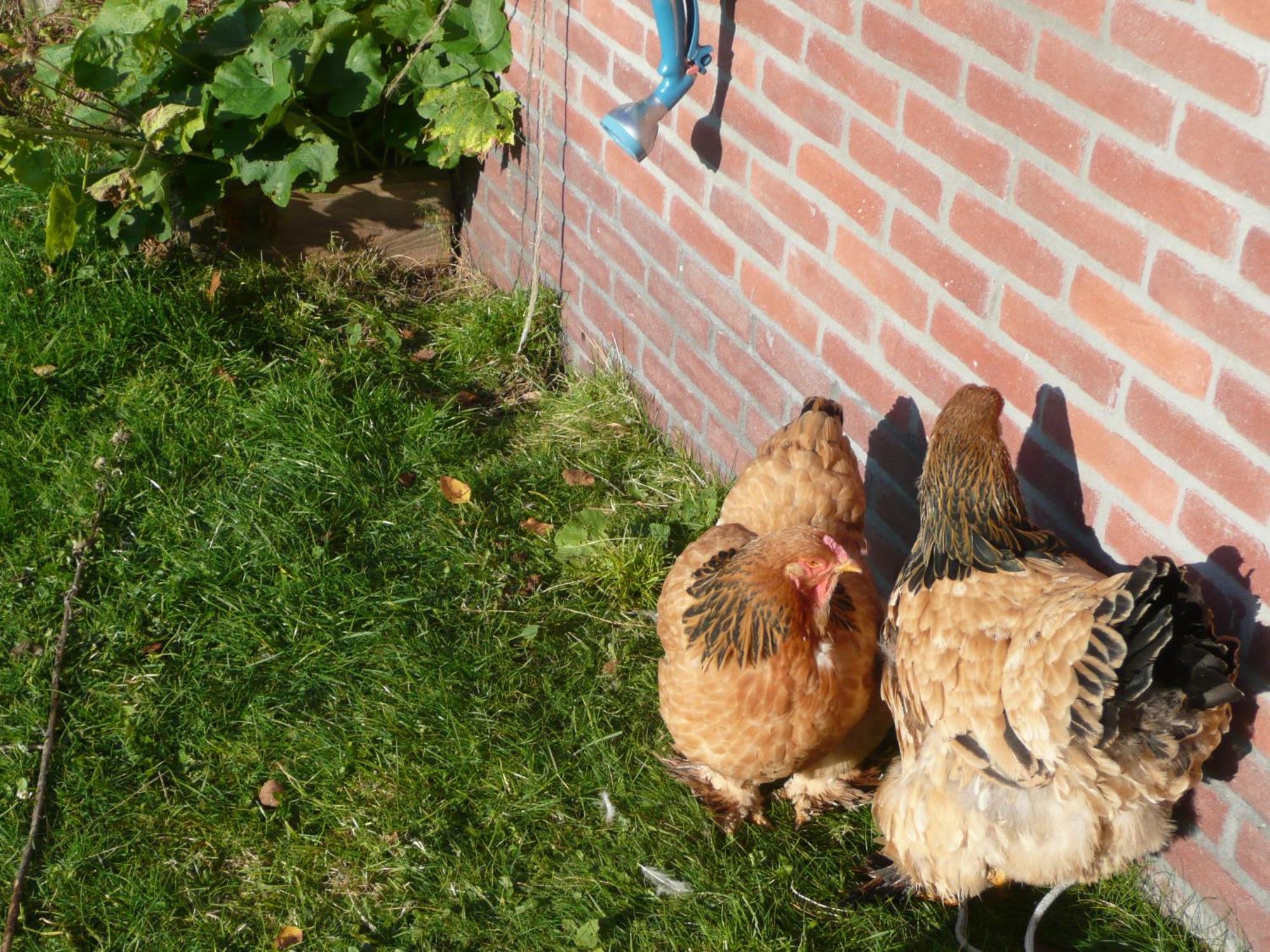 Frühstückspension Slaopen En Stoet Anderen